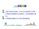 苏教版七下生物 8.2人的生长发育和青春期 课件