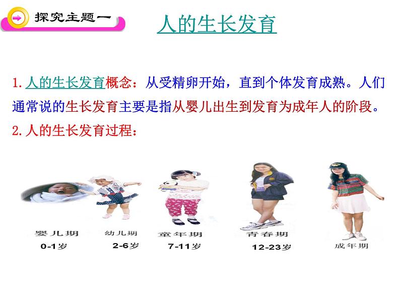 苏教版七下生物 8.2人的生长发育和青春期 课件04