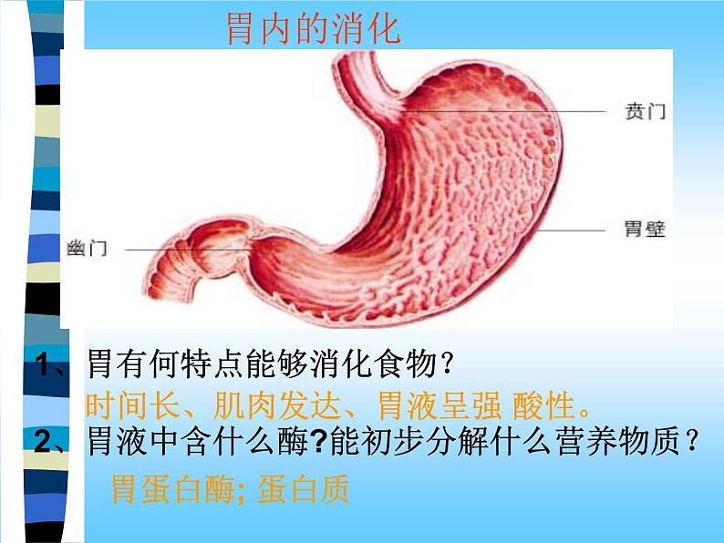 苏教版七下生物 9.2人体的消化与吸收 课件第7页