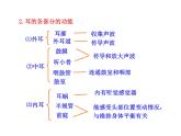 苏教版七下生物 12.3人体感知信息 课件