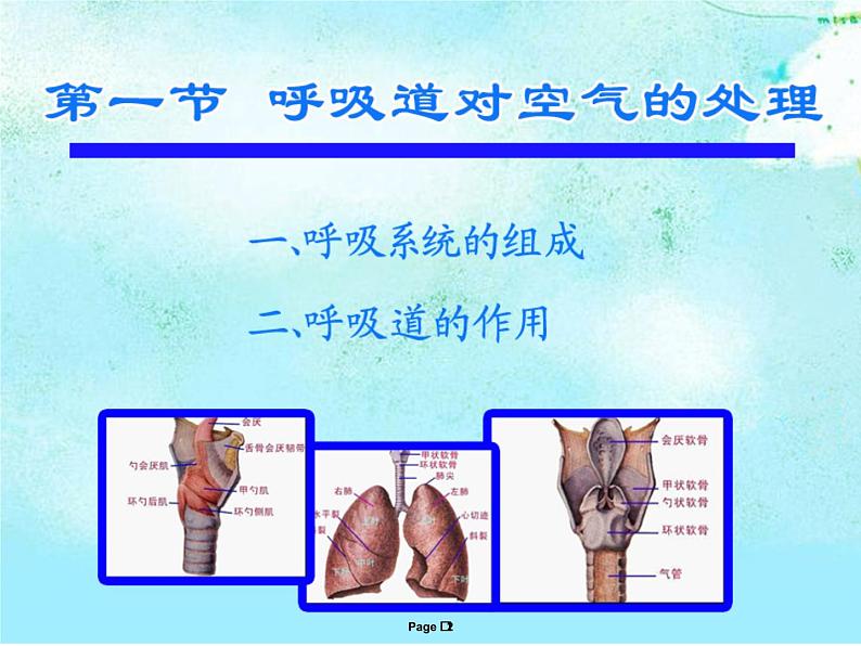 人教版七下生物 3.1呼吸道对空气的处理 课件第2页