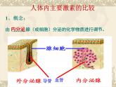 人教版七下生物 6.4激素调节 课件