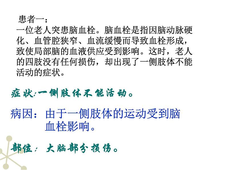 人教版七下生物 6.2神经系统的组成 课件第3页