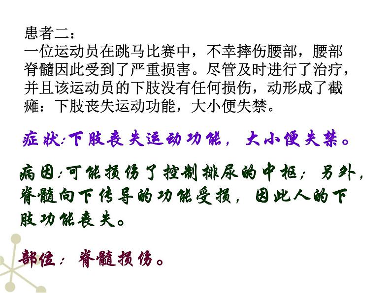 人教版七下生物 6.2神经系统的组成 课件第4页