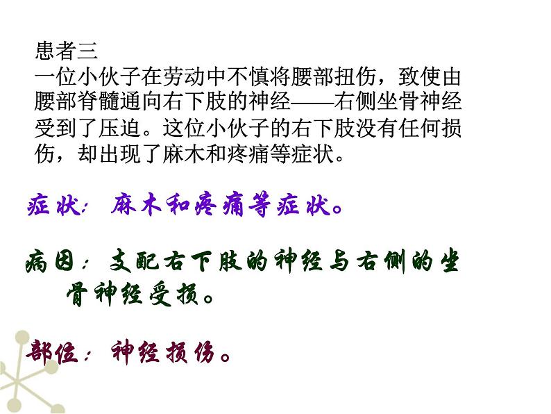 人教版七下生物 6.2神经系统的组成 课件第5页