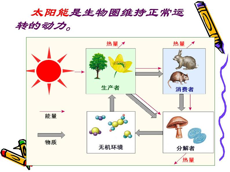 冀教版八下生物 7.2.3生物圈 课件第8页