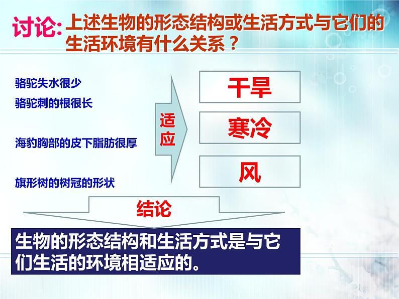 冀教版八下生物 7.1.2生物对环境的适应和影响 课件04