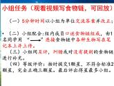 冀教版八下生物 7.2.2食物链和食物网 课件