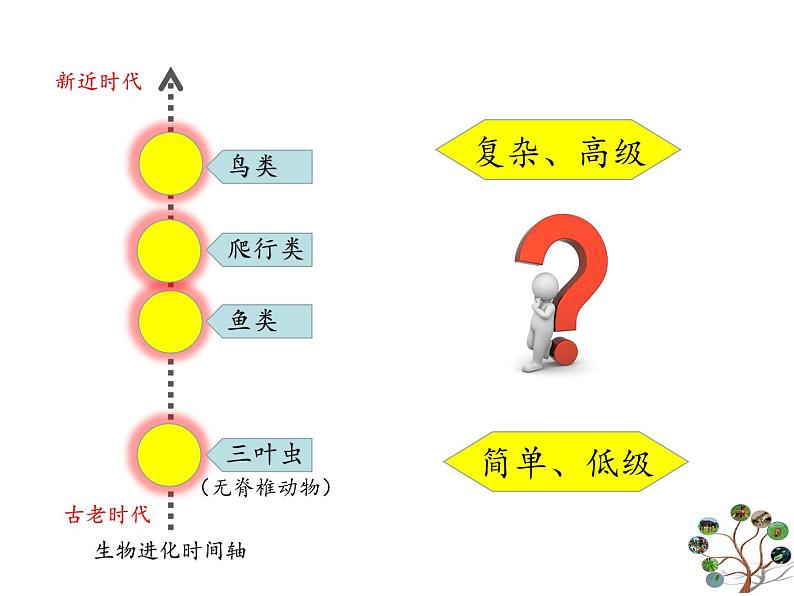 冀教版八下生物 6.3.2生物的进化 课件第8页