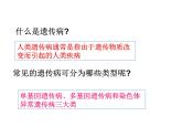冀教版八下生物 6.2.3遗传病与优生 课件