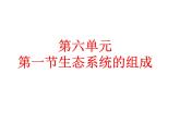 济南版八下生物 6.2.1生态系统的组成  课件