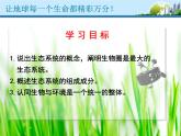 济南版八下生物 6.2.1生态系统的组成 课件