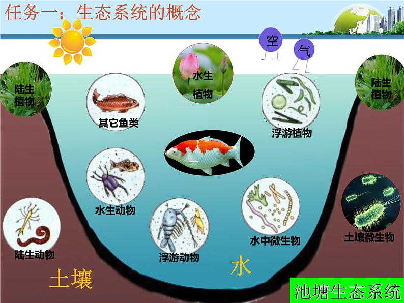 济南版八下生物 6.2.1生态系统的组成 课件04