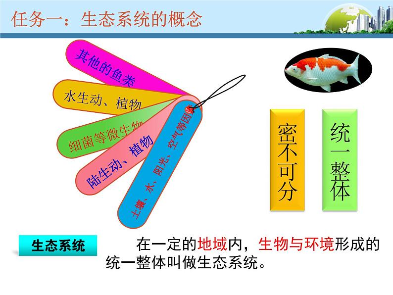 济南版八下生物 6.2.1生态系统的组成 课件05