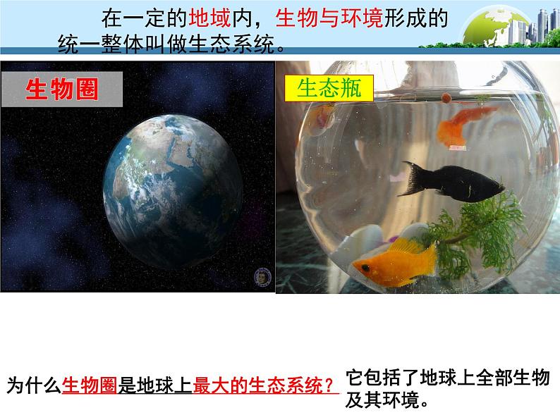 济南版八下生物 6.2.1生态系统的组成 课件07