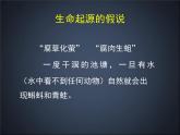 北师大版八下生物 21.1生命的起源 课件