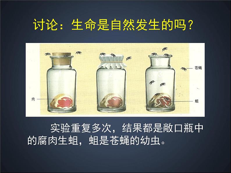 北师大版八下生物 21.1生命的起源 课件08