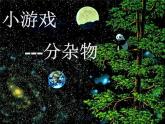 北师大版八下生物 22.1生物的分类 课件