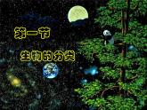北师大版八下生物 22.1生物的分类 课件