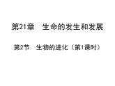 北师大版八下生物 21.2生物的进化 课件
