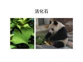 北师大版八下生物 21.2生物的进化 课件