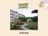 北师大版八下生物 23.2生态系统概述 课件