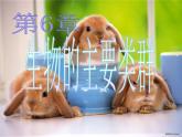 北师大版八下生物 22.4动物的主要类群 课件