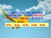 北师大版八下生物 22.4动物的主要类群 课件
