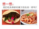 北师大版八下生物 22.4动物的主要类群 课件