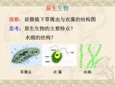 北师大版八下生物 22.2原生生物的主要类群 课件