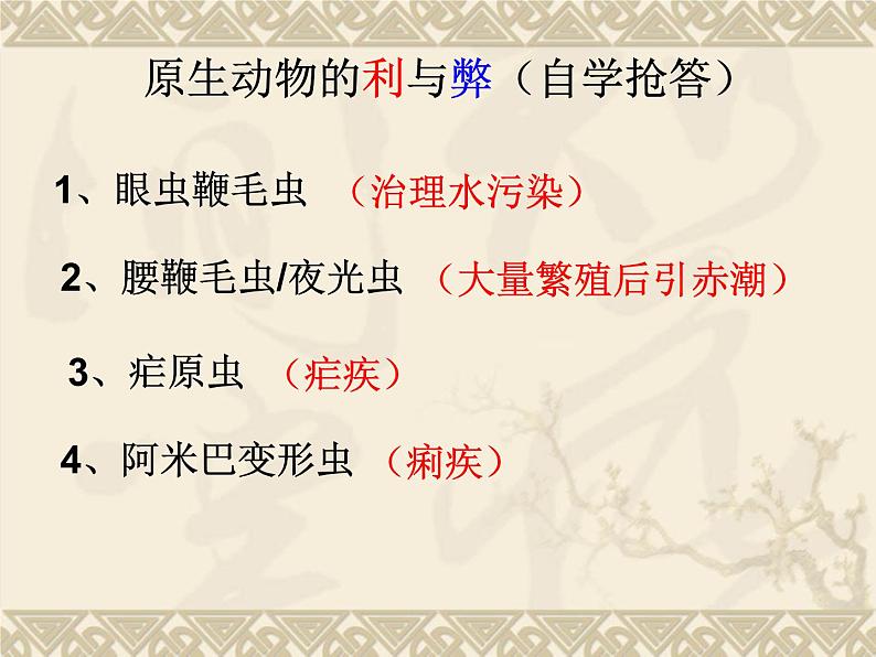 北师大版八下生物 22.2原生生物的主要类群 课件05