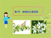 北师大版八下生物 22.3植物的主要类群 课件