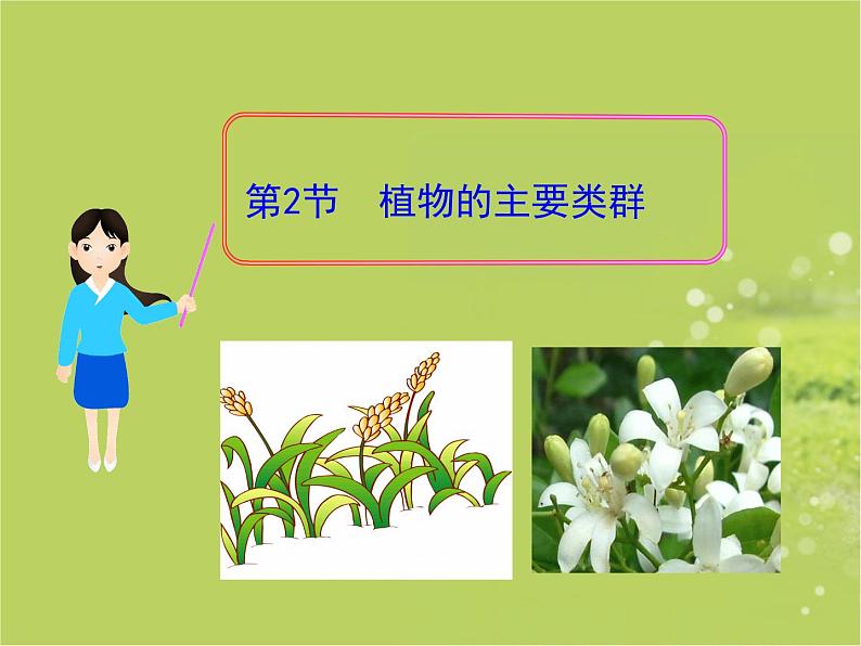 北师大版八下生物 22.3植物的主要类群 课件第1页