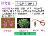 冀教版七下生物 6.2疾病与预防 课件