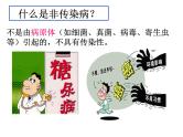 冀教版七下生物 6.2疾病与预防 课件