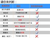 冀教版七下生物 6.2疾病与预防 课件