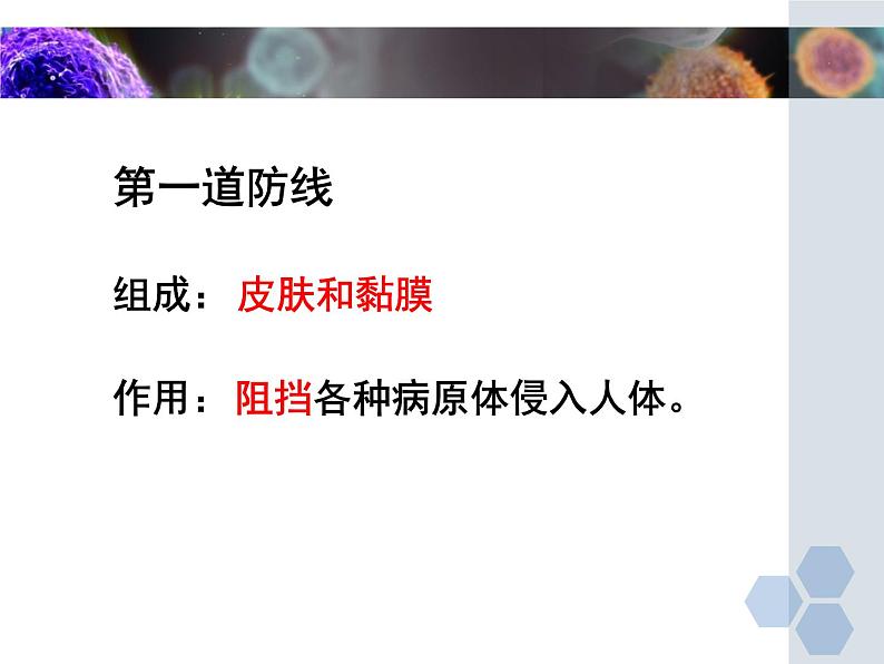 冀教版七下生物 6.1免疫 课件第7页