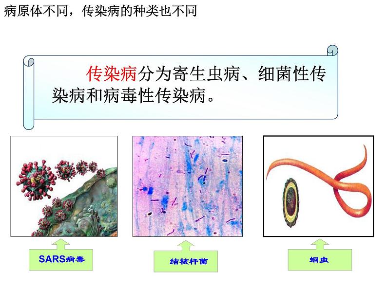 冀教版七下生物 6.2疾病与预防 课件05