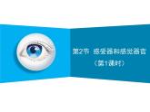 12-2感受器和感觉器官第1课时课件2021--2022学年北师大版七年级生物下册课件