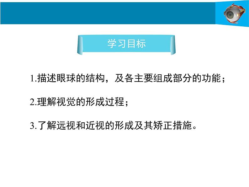 12-2感受器和感觉器官第1课时课件2021--2022学年北师大版七年级生物下册课件第3页