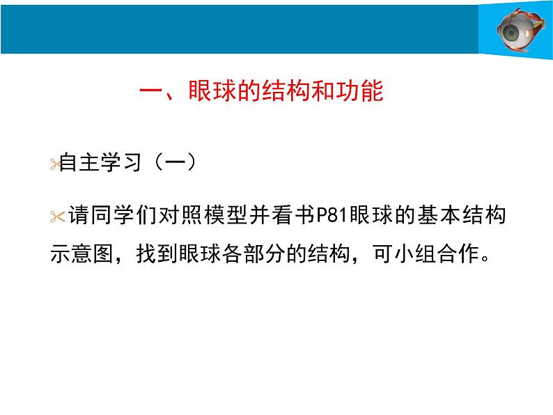 12-2感受器和感觉器官第1课时课件2021--2022学年北师大版七年级生物下册课件第6页