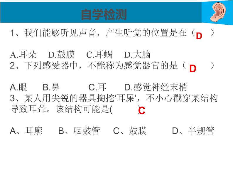 12-2感受器和感觉器官----耳与听觉第2课时课件2021--2022学年北师大版七年级生物下册课件第6页