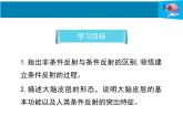 12-1神经系统与神经调节第2课时课件2021--2022学年北师大版七年级生物下册