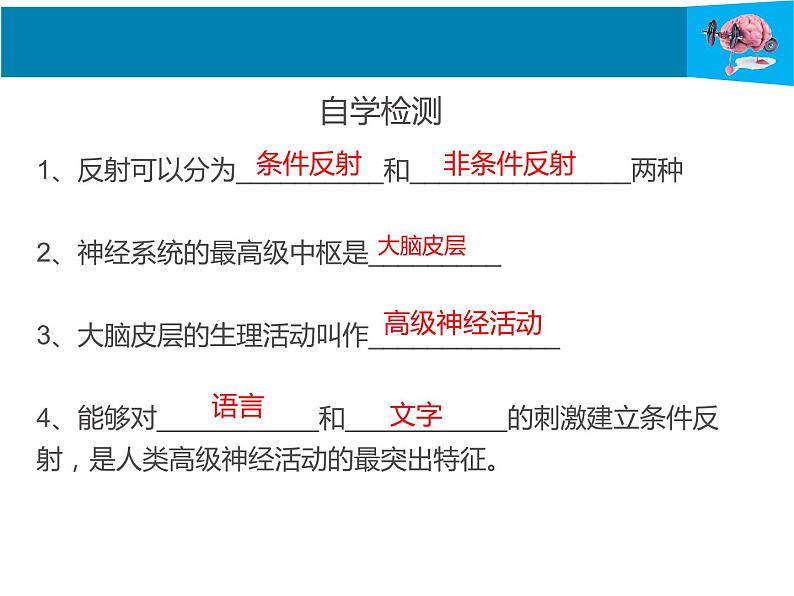 12-1神经系统与神经调节第2课时课件2021--2022学年北师大版七年级生物下册第4页