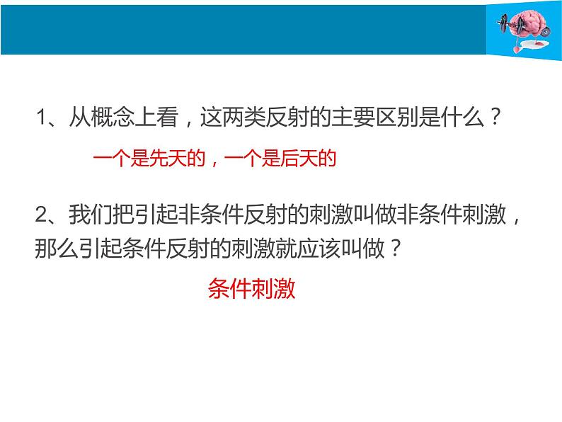 12-1神经系统与神经调节第2课时课件2021--2022学年北师大版七年级生物下册第8页