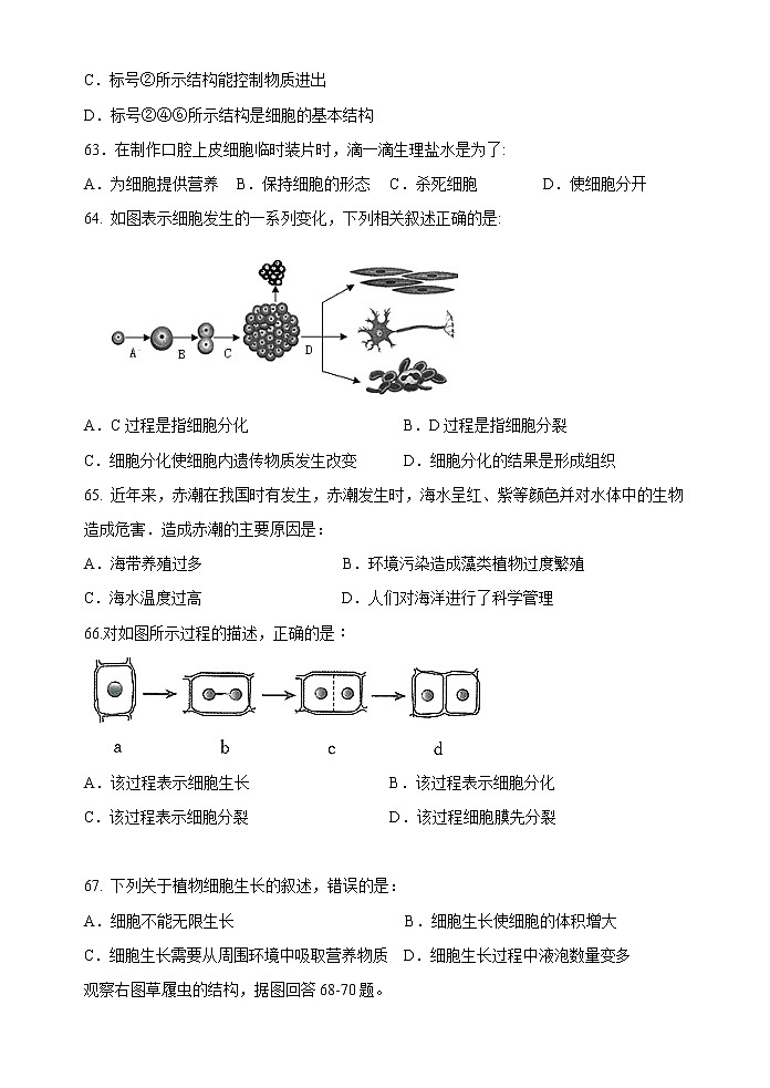江苏省淮安市浦东实验中学2021-2022学年七年级下学期期中试卷生物试卷第3页