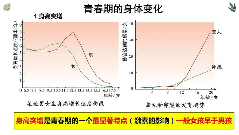 七年级下册第三节《青春期》课件PPT07