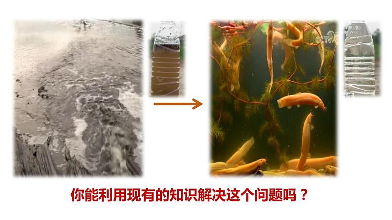 初中生物北京版八年级下册-生态系统复习课部优课件第3页