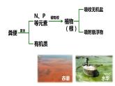 初中生物北京版八年级下册-生态系统复习课部优课件