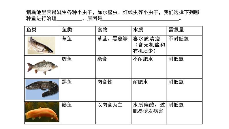 初中生物北京版八年级下册-生态系统复习课部优课件第7页